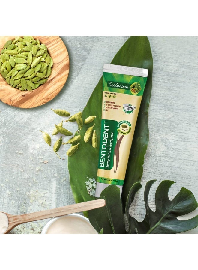 Bentodent Natural Toothpaste | Herbal Whitening & Daily Oral Detox | SLS, Fluoride & Foam Free | Safe for Kids & Family | Refreshing Cardamom Flavor | Remineralizing Toothpaste (Cardamom – Pack of 2, Total 200 g) - Image 4